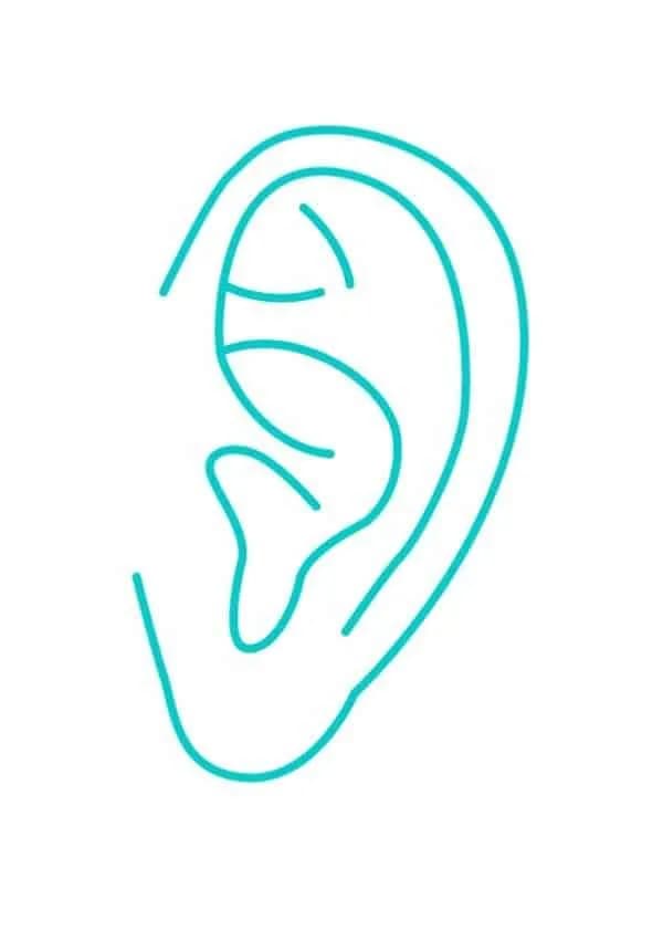 Réflexologie auriculaire
